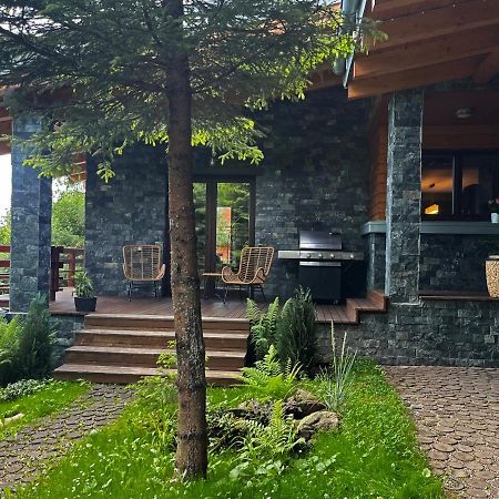 Bazalt Wellness Villa Harghita-Bai Luaran gambar