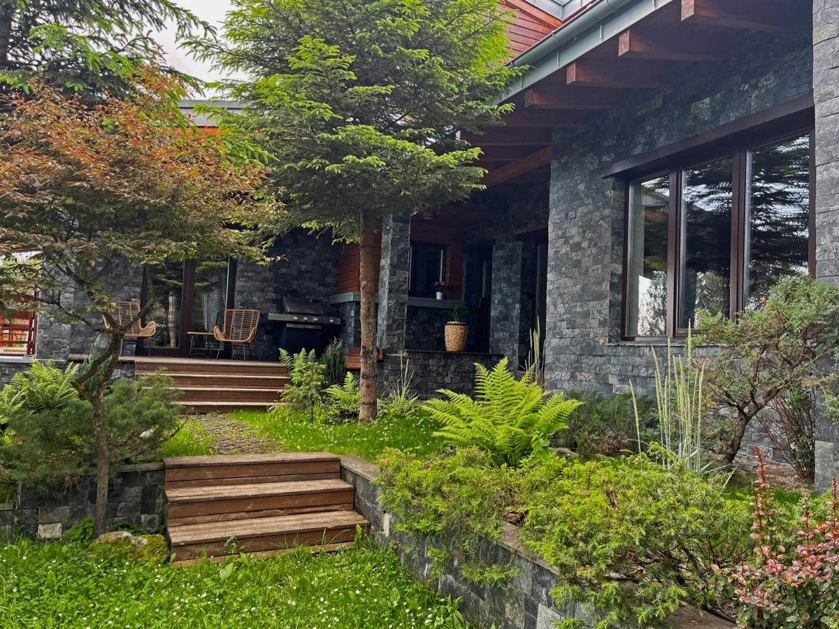 Bazalt Wellness Villa Harghita-Bai Luaran gambar