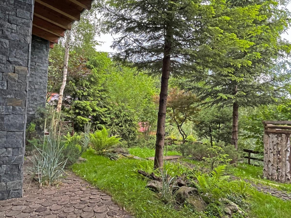 Bazalt Wellness Villa Harghita-Bai Luaran gambar